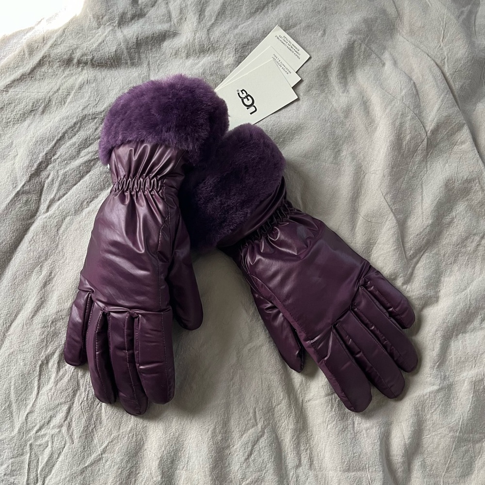 UGG Gloves